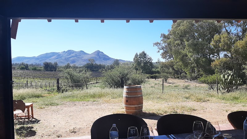 Mexican wine country