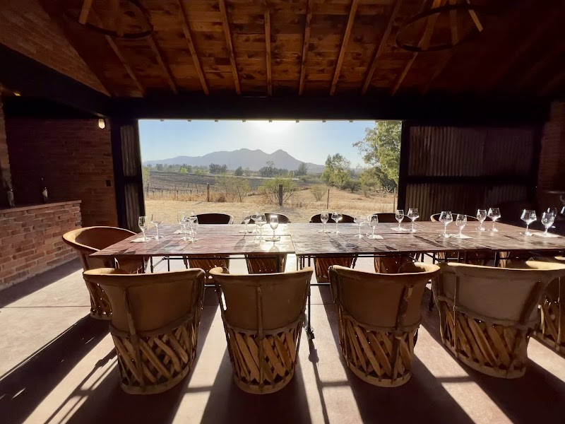 Bodegas de la Parra photo 2