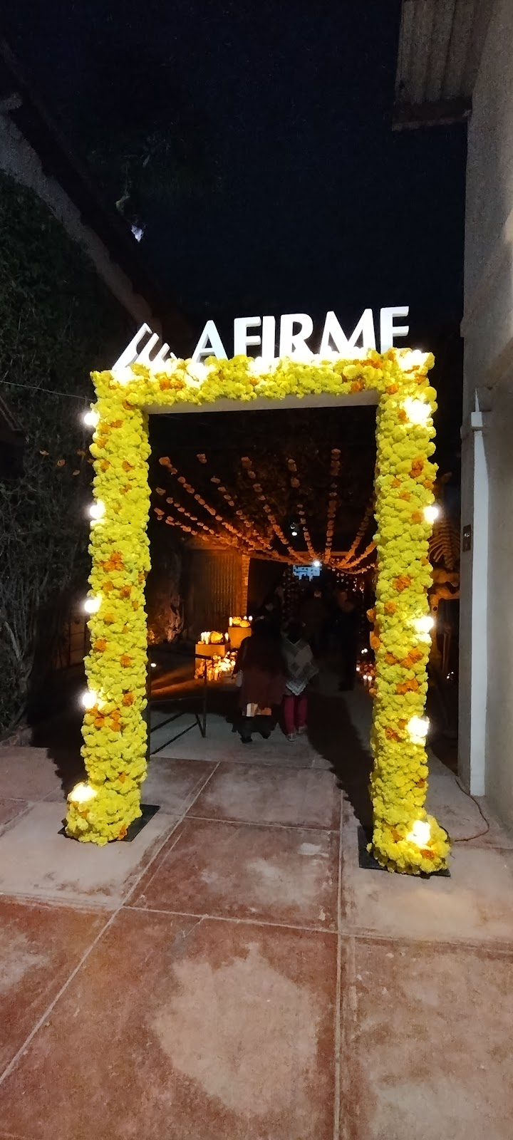 Mexican wine country