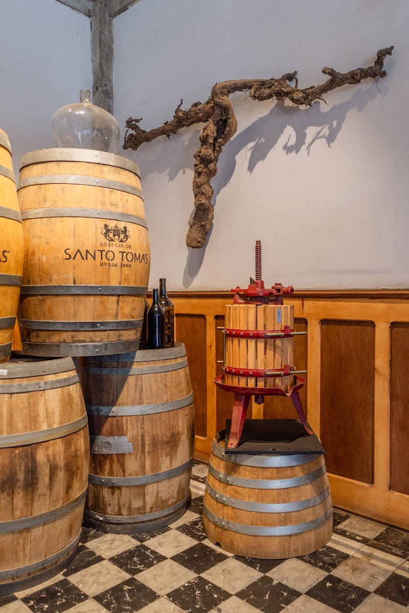 Bodegas de Santo Tomás - Cava Miramar photo 2