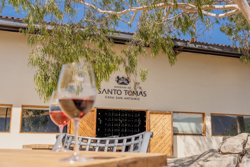 Bodegas de Santo Tomás - Cava San Antonio de las Minas photo 1