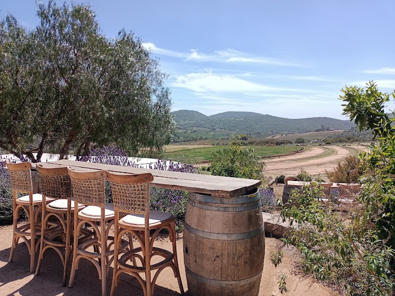 Bodegas de Santo Tomás - Cava San Antonio de las Minas photo 2