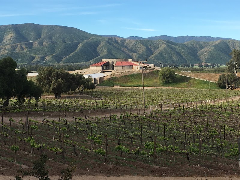 Bodegas de Santo Tomas photo 3