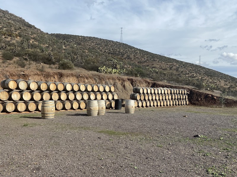 Bodegas de Santo Tomas photo 4