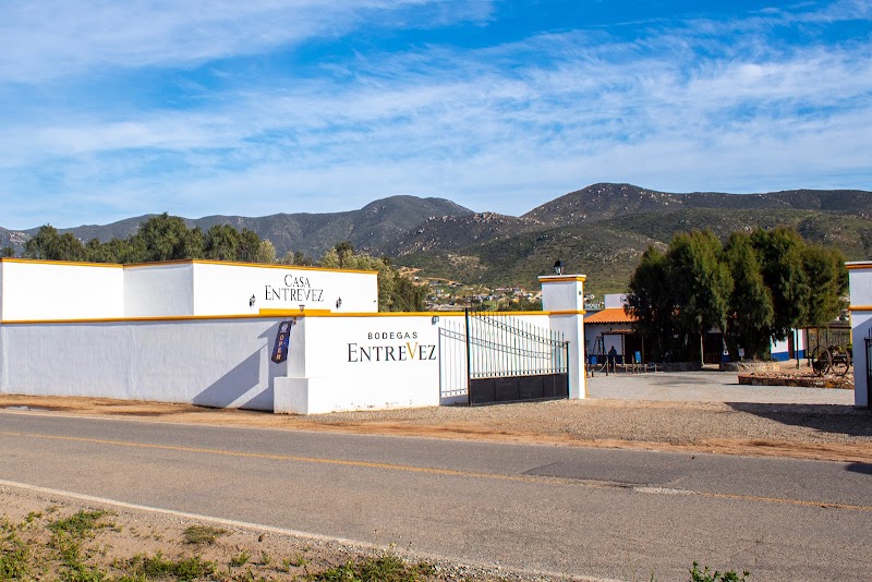 Bodegas Entrevez photo 2