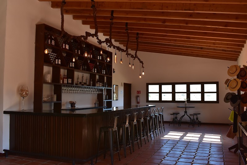 Bodegas Entrevez photo 3