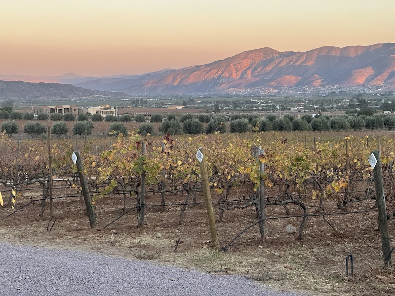 Bodegas F. Rubio photo 3