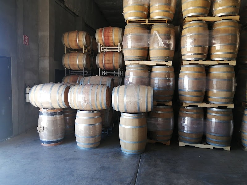Bodegas Henri Lurton photo 3