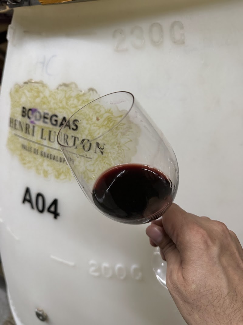 Bodegas Henri Lurton photo 4