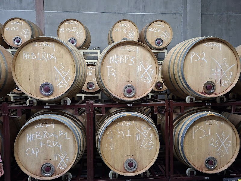 Bodegas Henri Lurton photo 5