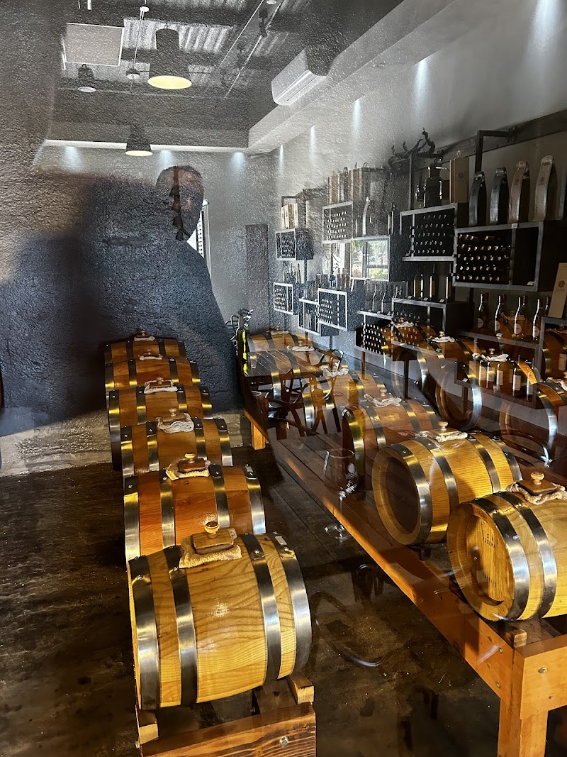 Bodegas Magoni photo 4