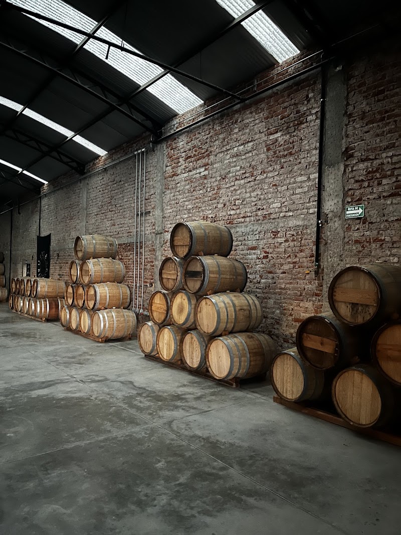 Bodegas Origen photo 2