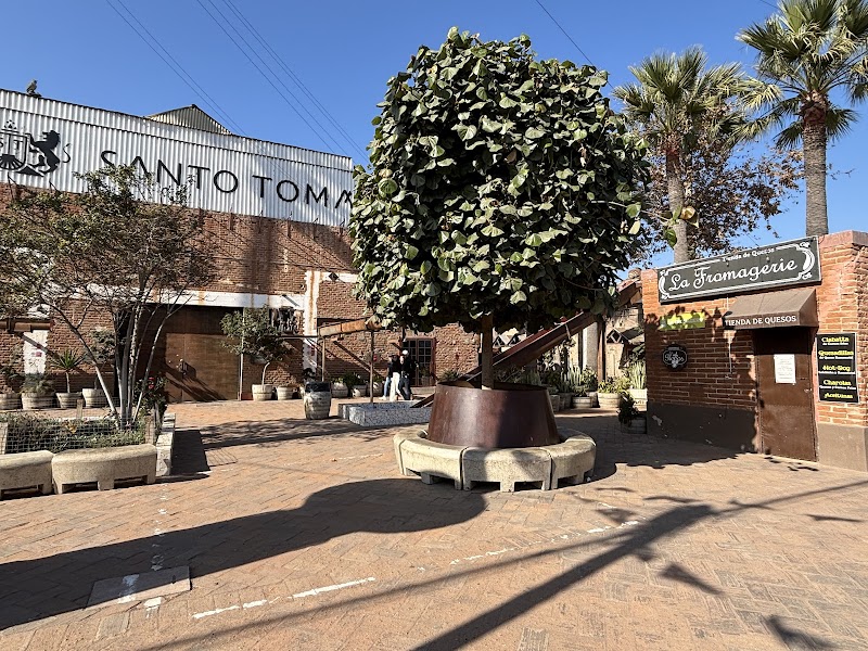 Bodegas Santo Tomás photo 2