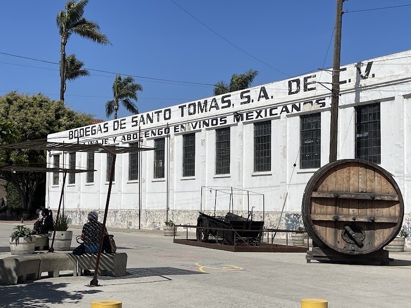 Bodegas Santo Tomás photo 3
