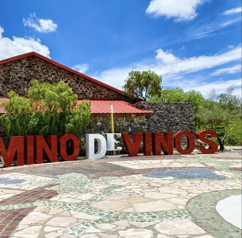 Camino De Vinos photo 2