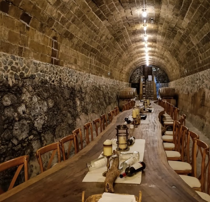 Camino De Vinos photo 3