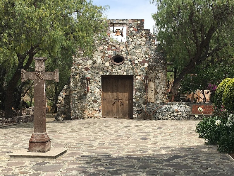 Camino De Vinos photo 4
