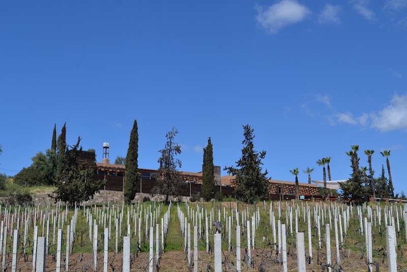 Casa de Piedra photo 2