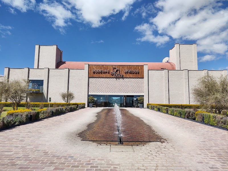 Casa Vitivinícola Bodegas De Cote photo 2