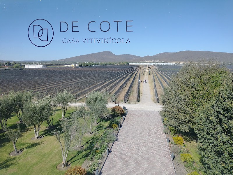 Casa Vitivinícola Bodegas De Cote photo 3