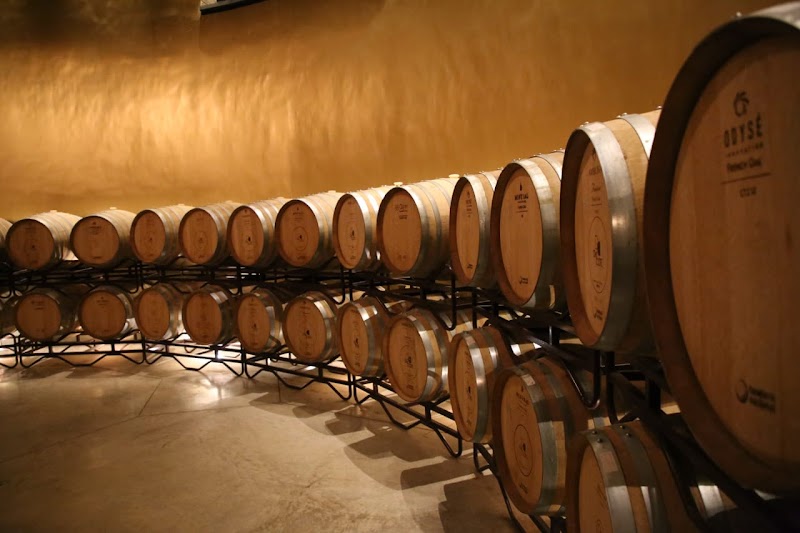 Casa Vitivinícola Bodegas De Cote photo 4