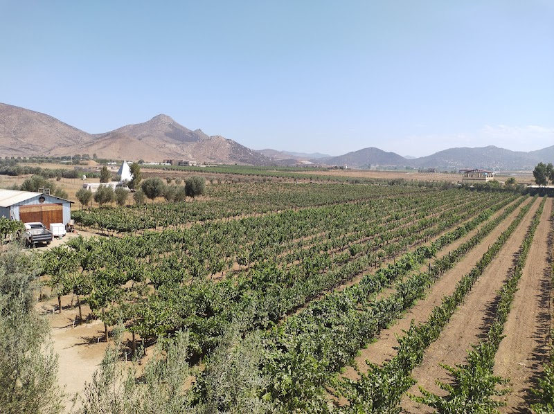 CAVA DON RAÚL photo 1