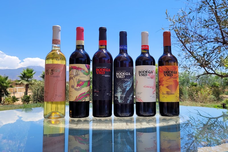 Cava Dragón photo 3