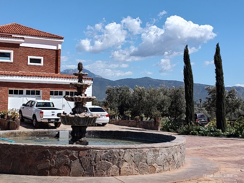 Cava Dragón photo 4