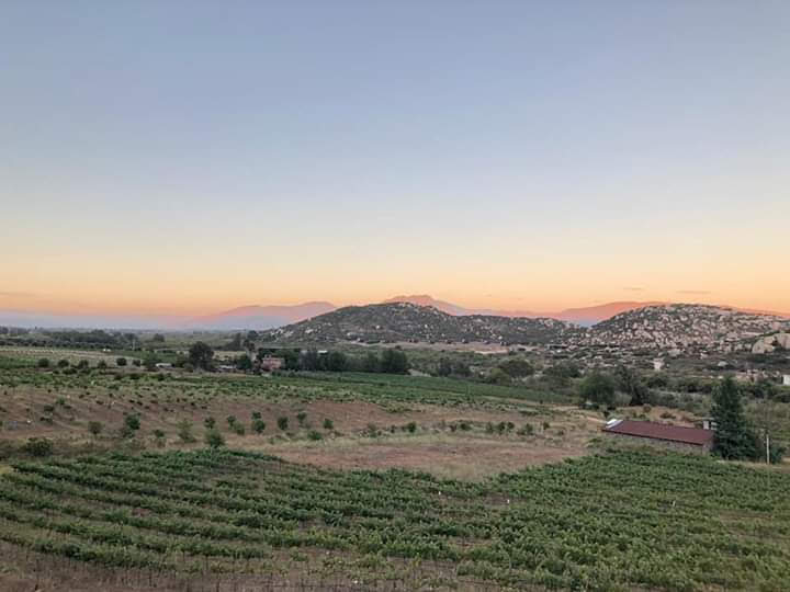 Cava Mora photo 2