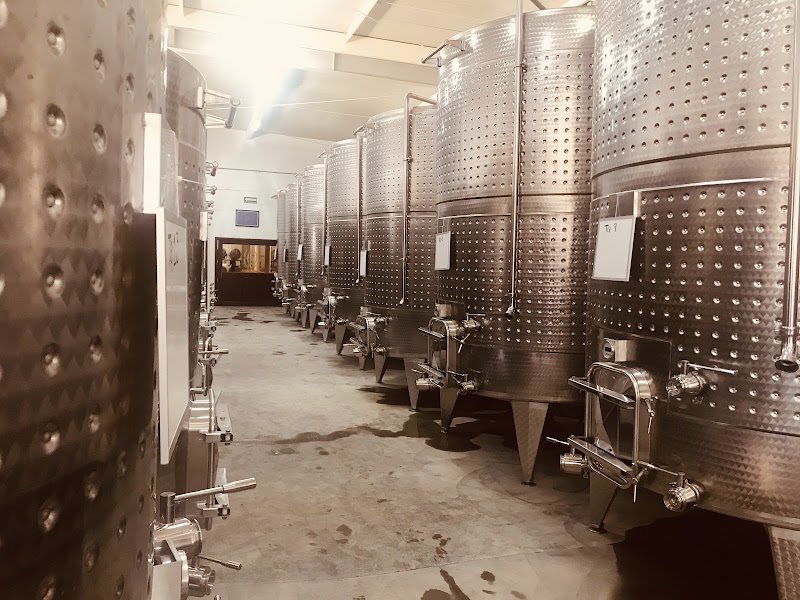 Cava Quintanilla photo 1