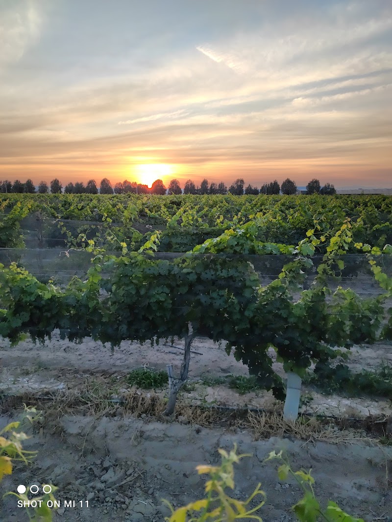 Cava Quintanilla photo 2