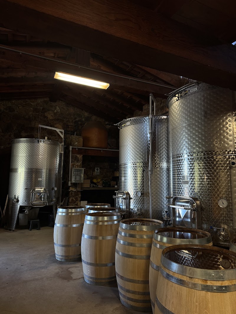 Cavas del Mogor photo 1