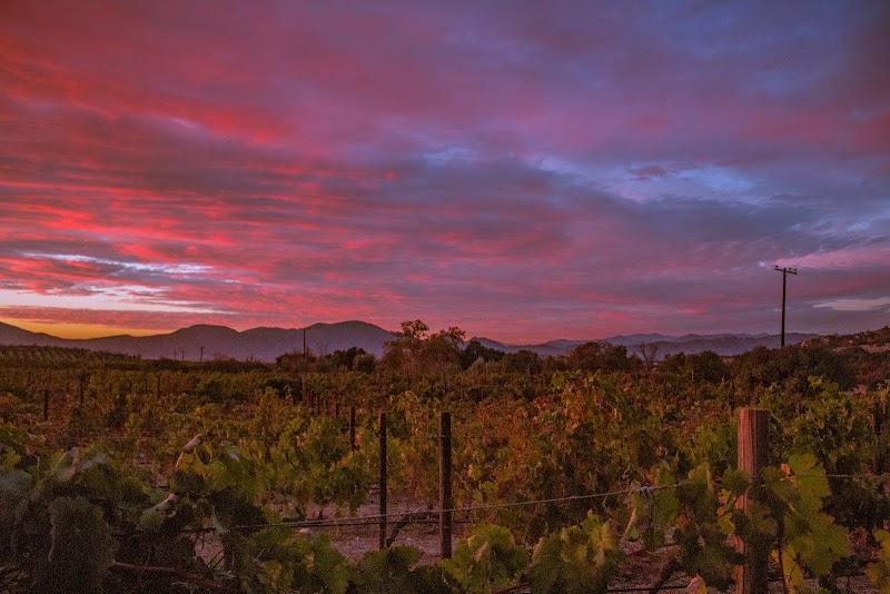 Cavas del Mogor photo 3