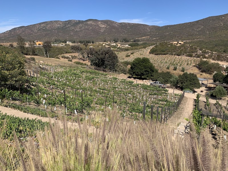 Clos de Tres Cantos photo 3