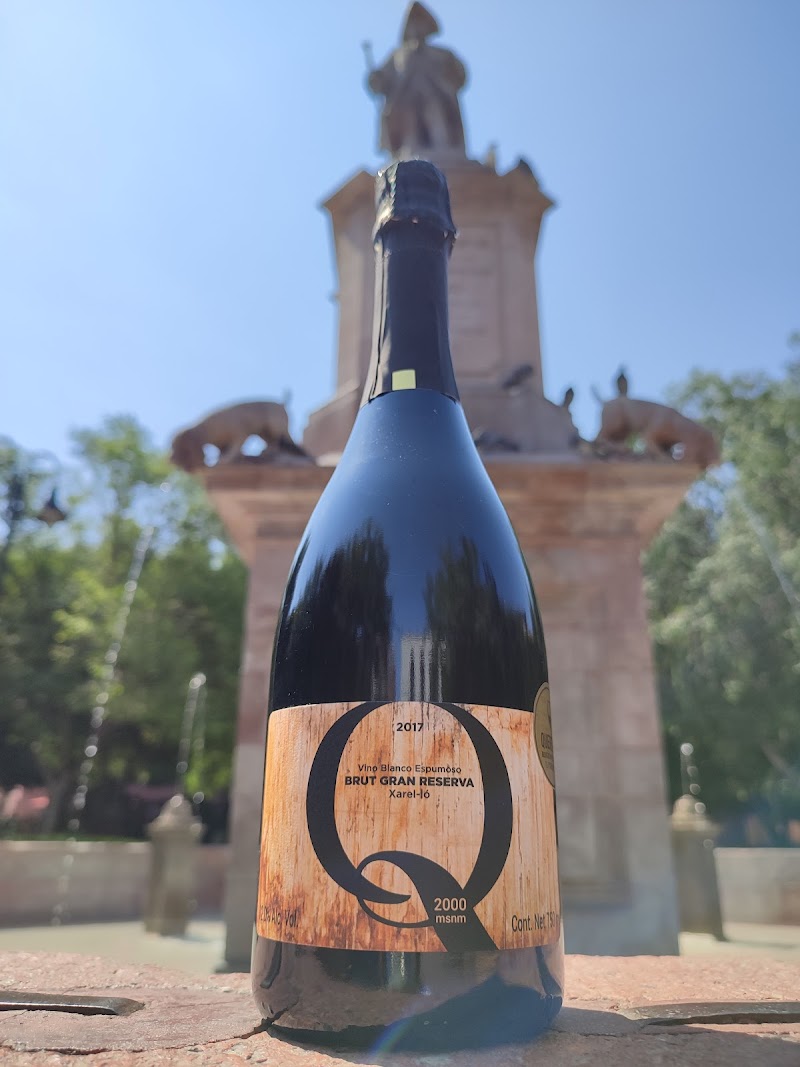 Clúster Vitivinícola de Querétaro photo 2