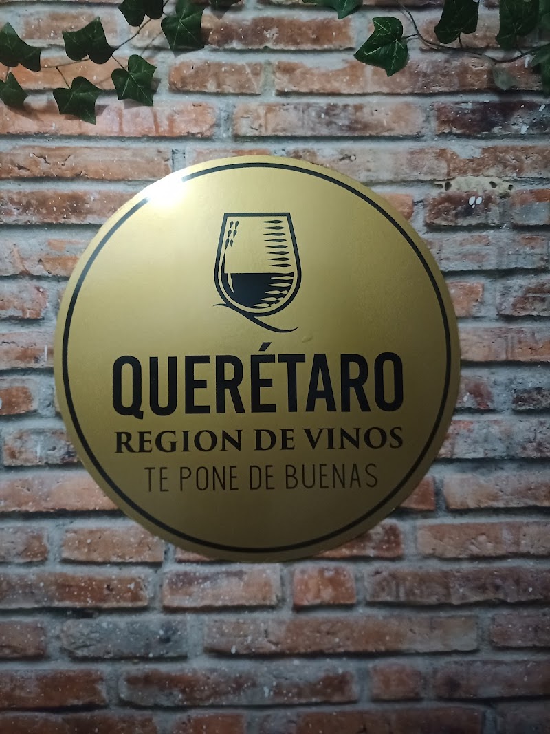 Clúster Vitivinícola de Querétaro photo 3