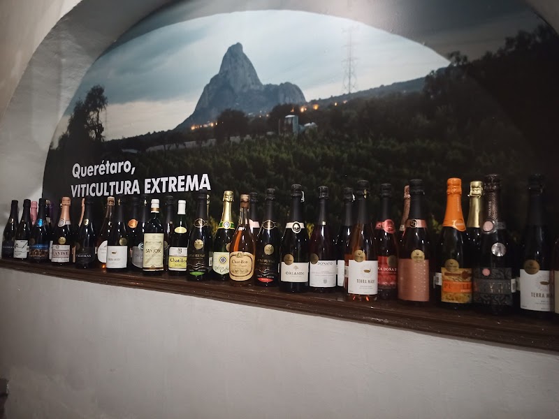 Clúster Vitivinícola de Querétaro photo 4