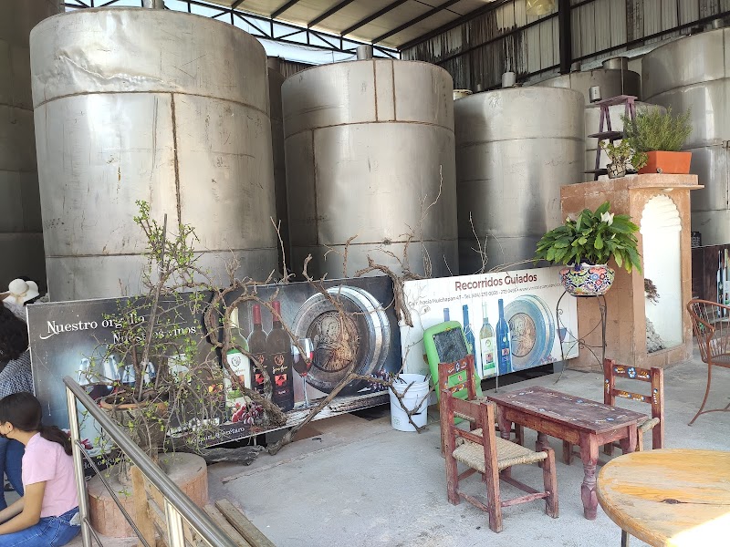 Compañia Vinicola San Patricio photo 2