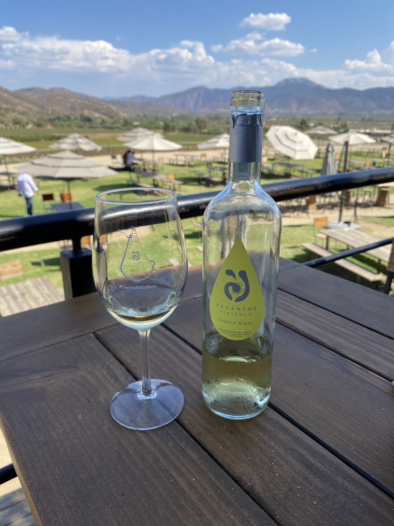 Decantos Vinícola photo 3