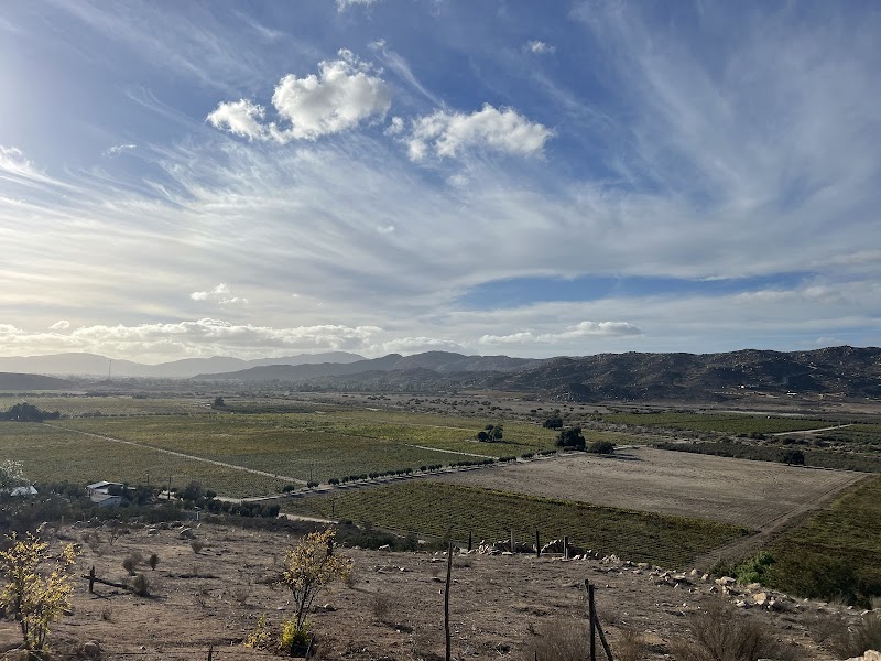 Decantos Vinícola photo 4