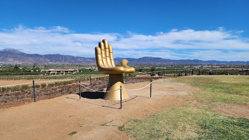 Decantos Vinícola photo 5