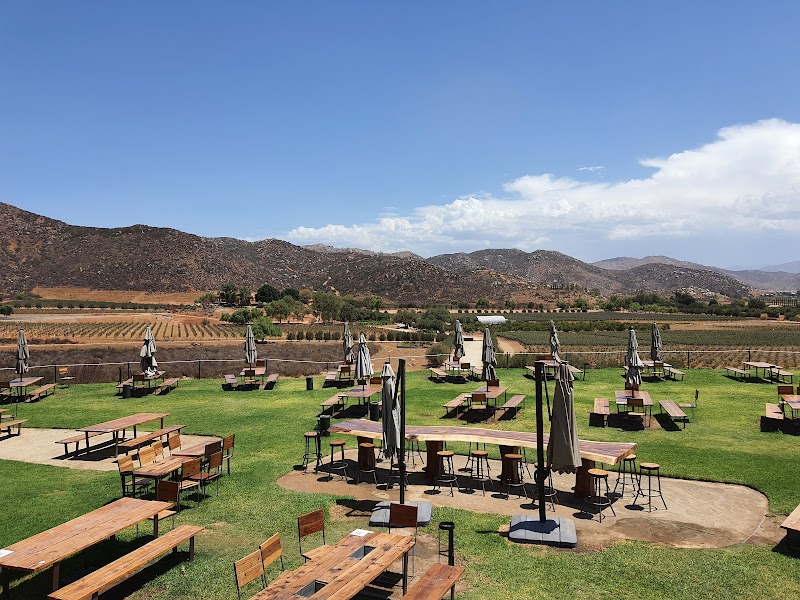 Decantos photo 1