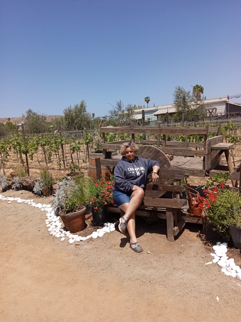 DEL VINO photo 4
