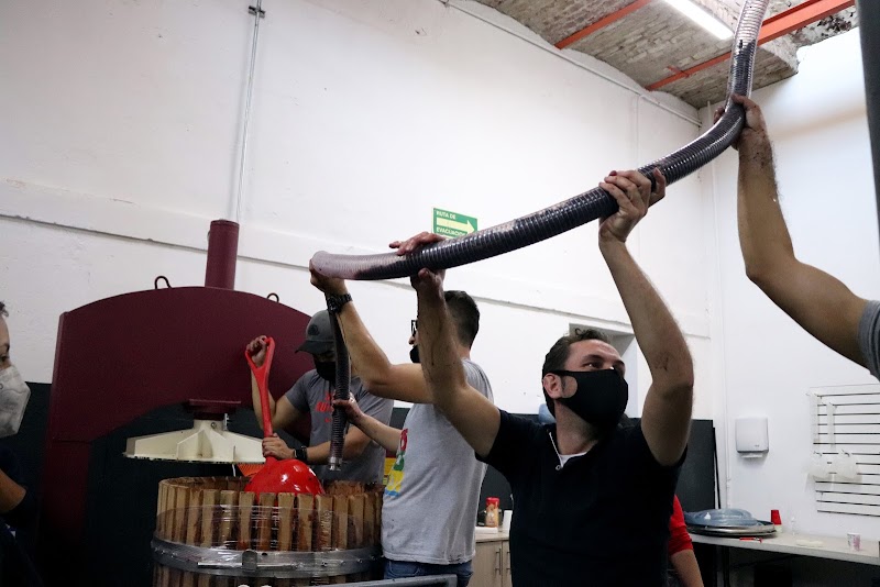 Escuela de Vino (Bodega de Producción) photo 3