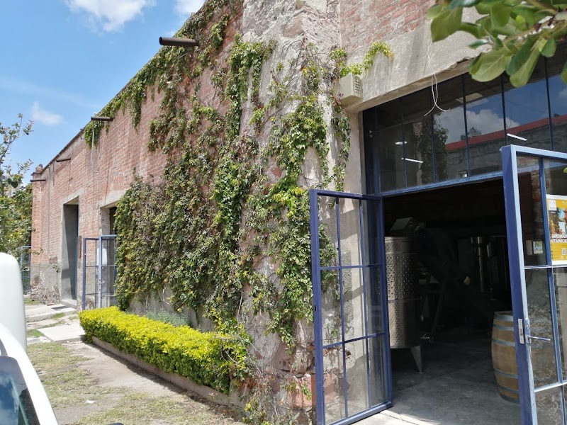 Escuela de Vino (Bodega de Producción) photo 4