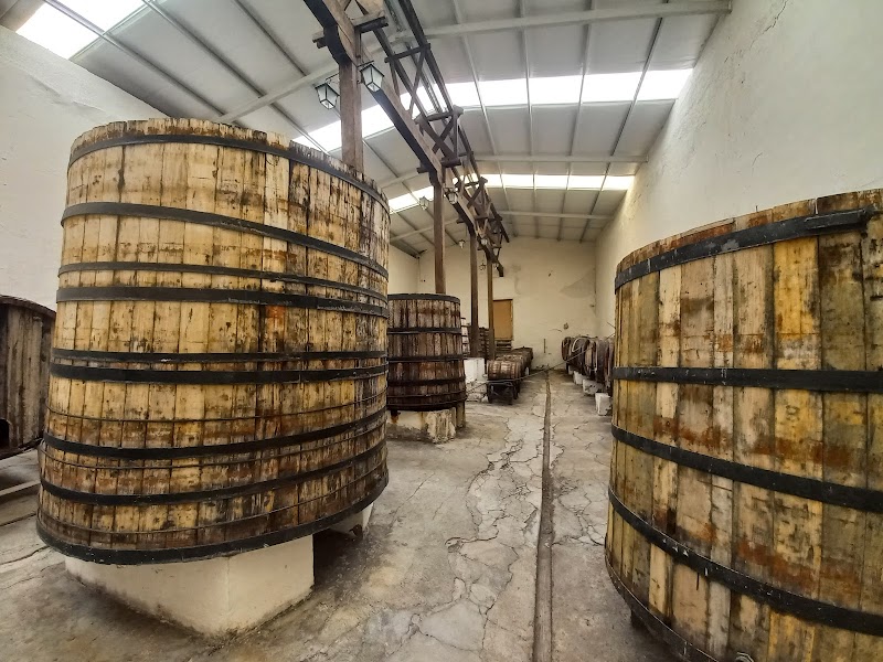 Expendio Antiguas Bodegas de Perote photo 4