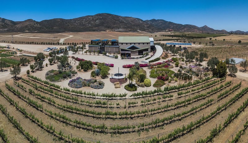 Finca La Carrodilla photo 2