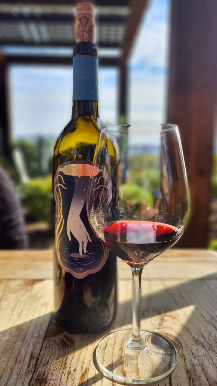 Finca La Carrodilla photo 5