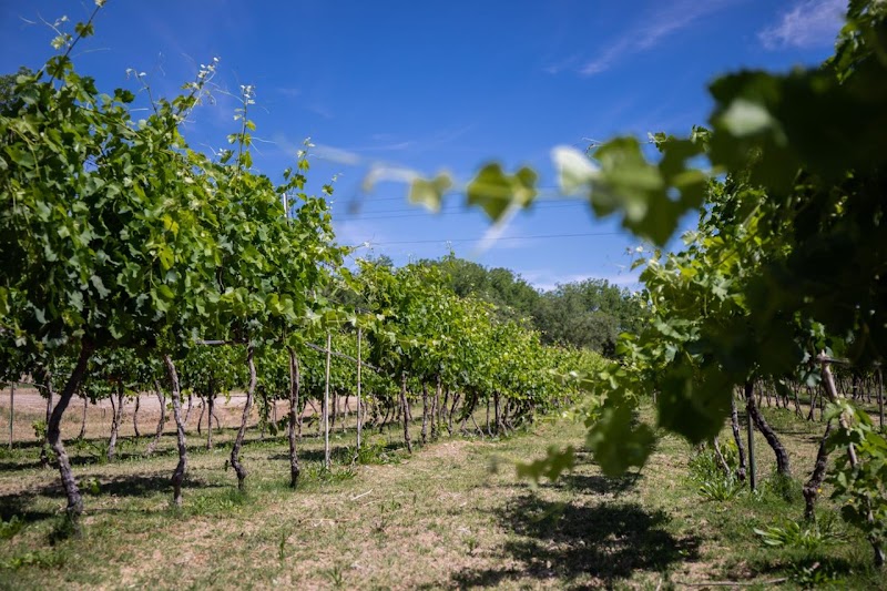 Fraccionamiento Hacienda del Marques photo 2