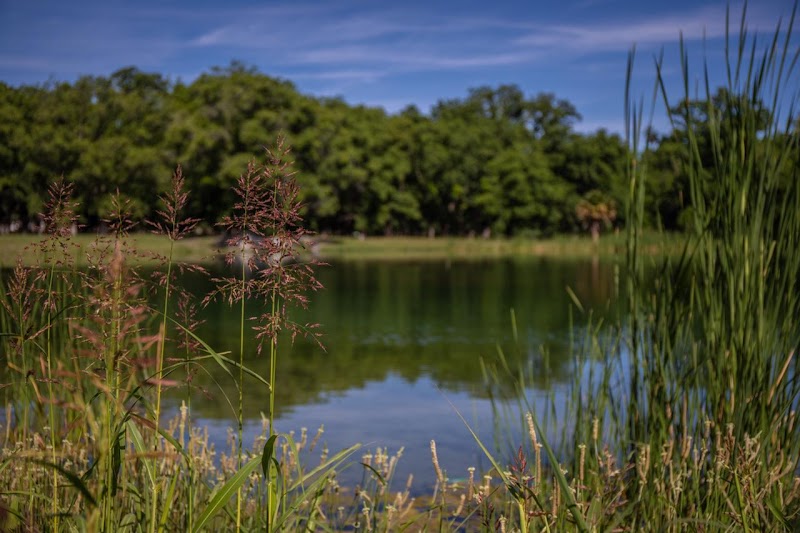 Fraccionamiento Hacienda del Marques photo 4